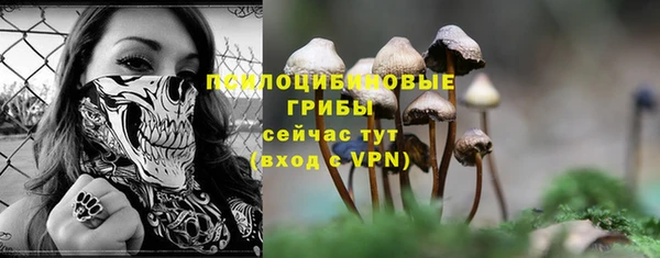 ECSTASY Медногорск