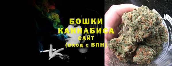 ECSTASY Медногорск