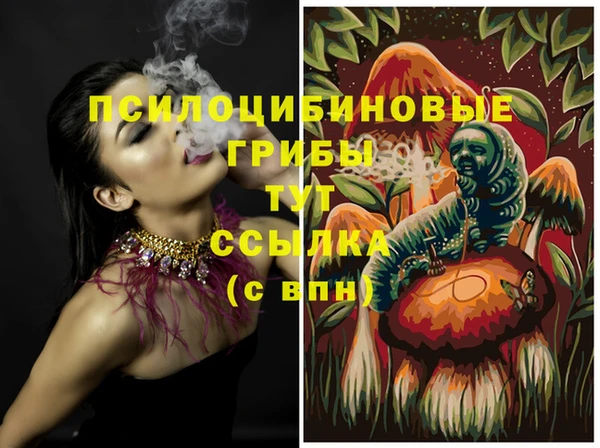 ешки Медвежьегорск